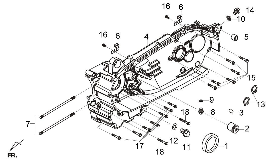 CARTER IZQUIERDO