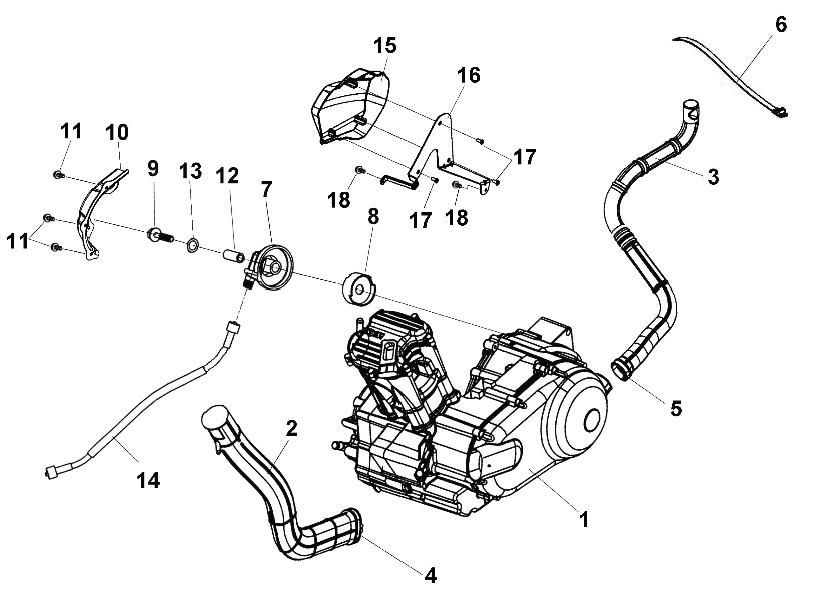MOTOR
