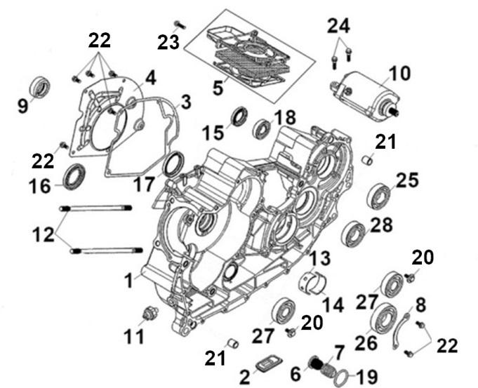 CARTER MOTOR DERECHO