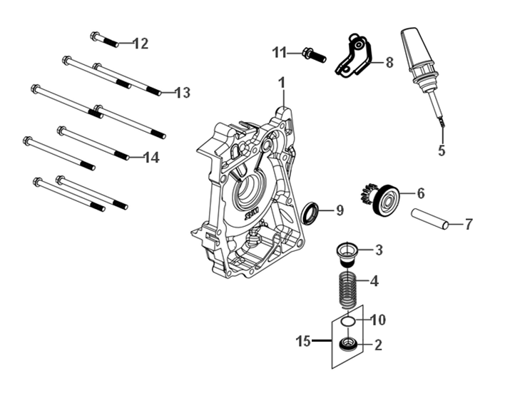 TAPA MOTOR DERECHO